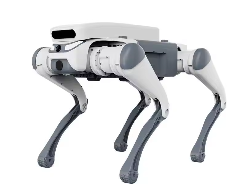 stunt remote control education - Remote Control Toys review and price
